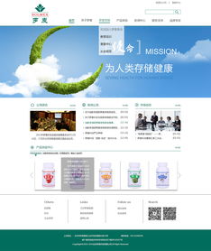 企业网站设计 构建数字时代的品牌门面与业务引擎
