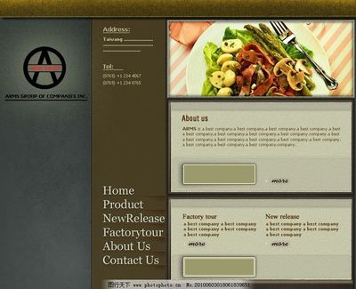 ARMS网站设计 打造专业高效的企业网站视觉与交互体验